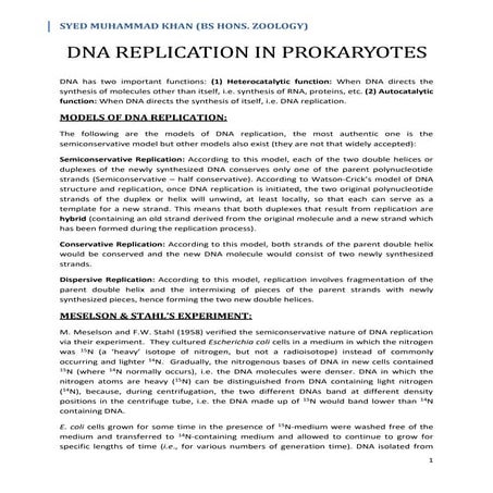 DNA Replication in Prokaryotes