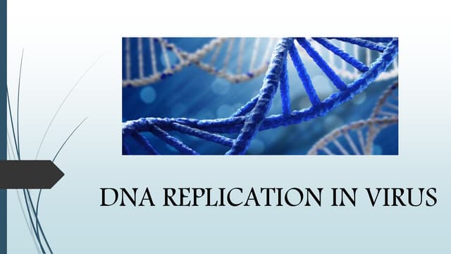 Dna replication in virus ppt