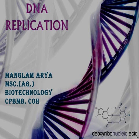 Dna replication 
