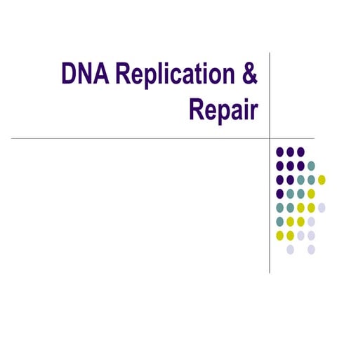 dnareplicationrepairundergrads-140407025100-phpapp02.ppt