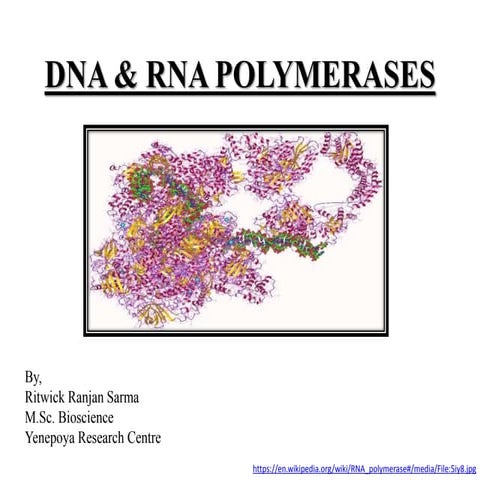 DNA polymerase proofreading and processivity.pptx
