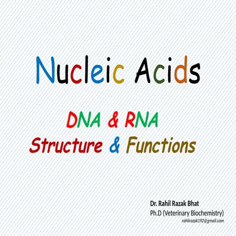 DNA, RNA Structure types functions, and differences.pptx