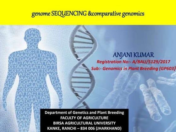 DNA sequencing
