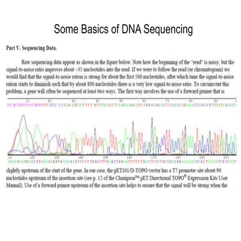 DNA Sequencing Lecture