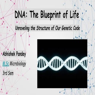 DNA sructure describing all thecomponents of dna.pdf