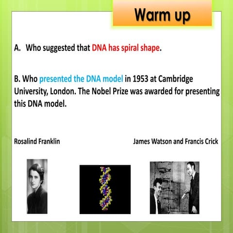 DNA PRESENTATION _20250927_231813_0000.pptx