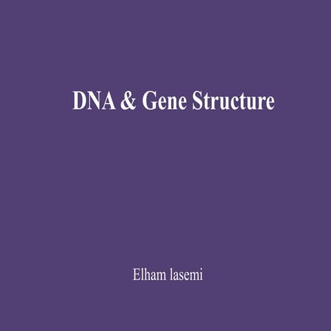 Dna structure