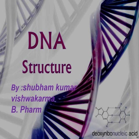 DNA structure