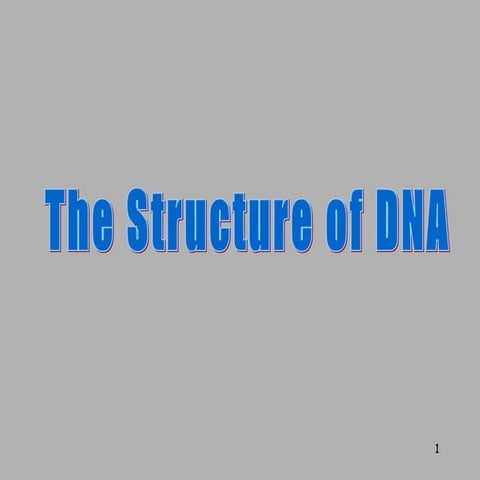 DNA Structure | PPT | Chemistry | Science