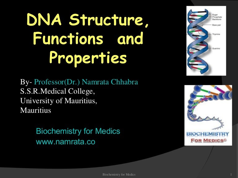 How does dna structure relate to its function