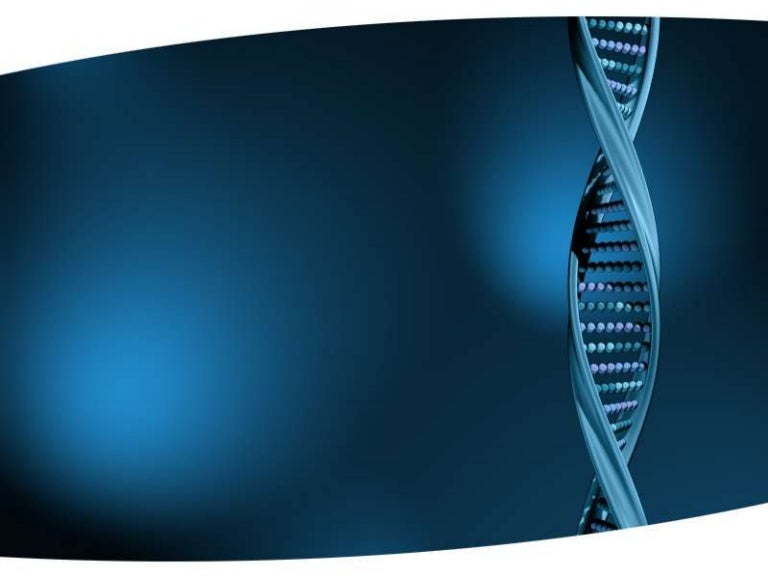 dna structure design template free dna powerpoint templates