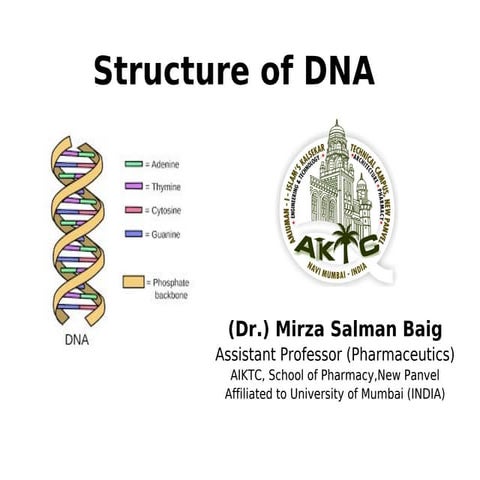 Dna structure sb