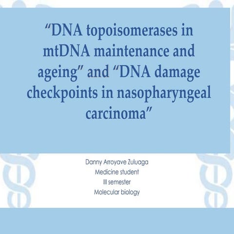 “Dna topoisomerases in mt dna maintenance and ageing” and “dna damage checkpo...