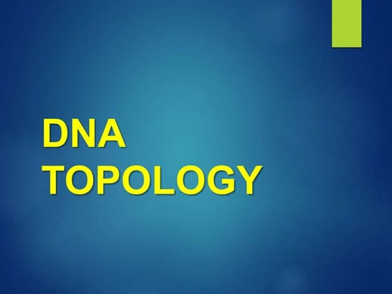 Role of Topoisomerase I and II in DNA Topology.pptx | Chemistry | Science