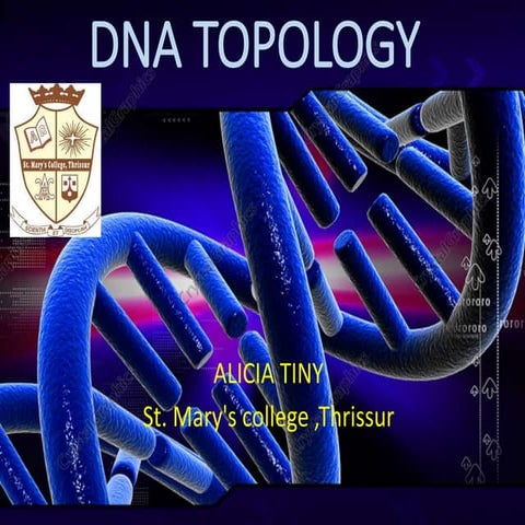 Dna topology 