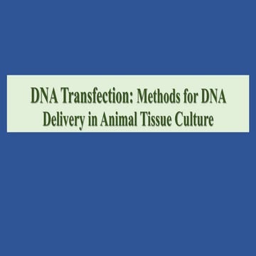 DNA Transfection in Animal tissue culture and its methods.pptx