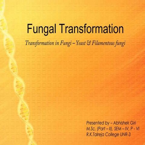 Fungal Transformation - dna transformation in fungi