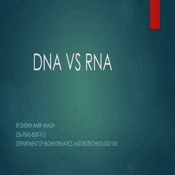 Dna vs rna