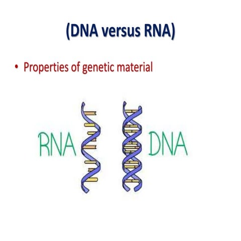 DNA verses RNA
