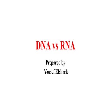 Dna vs rna
