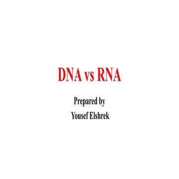 Dna vs rna