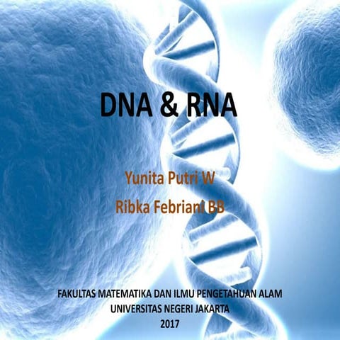 DNA by yunita and ribka