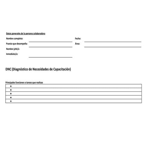 DNC-Formato 2023.pdf