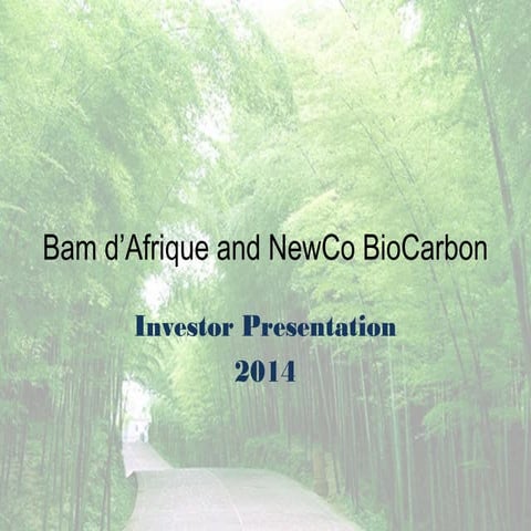 B'dAfrique  newco biocarbon 1
