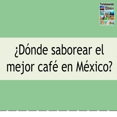 Dónde saborear el mejor café en México