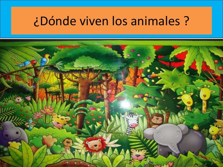 Dónde Viven Los Animales