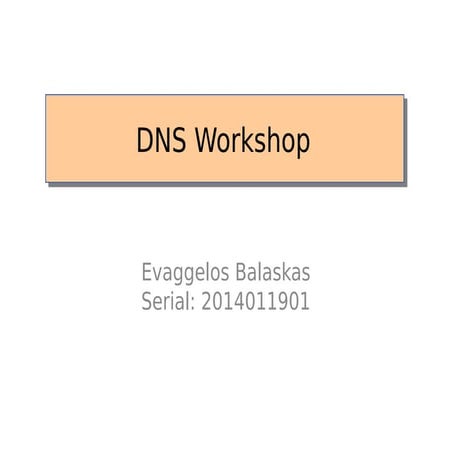 dns.workshop.hsgr