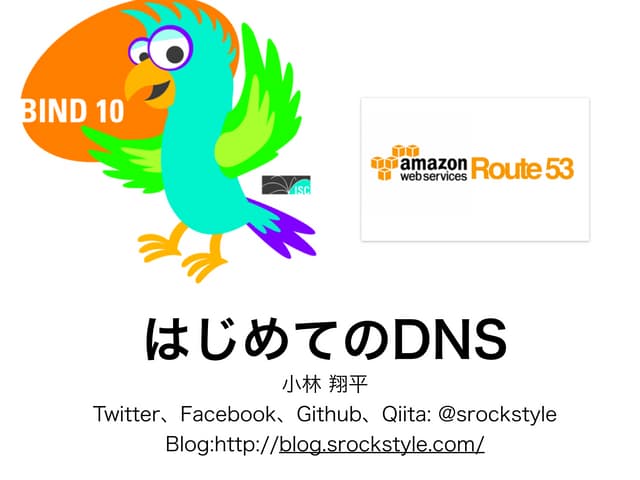 はじめてのDNS