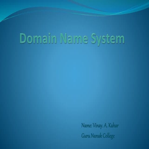 Domain Name System