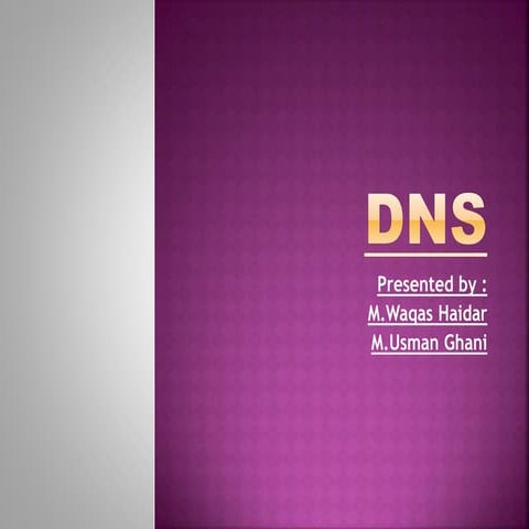 Dns in linux