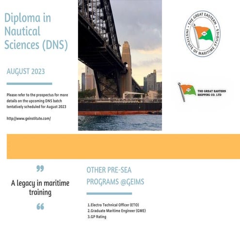 DNS_August_2023.pdf