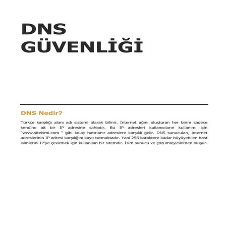 Dns güvenliği