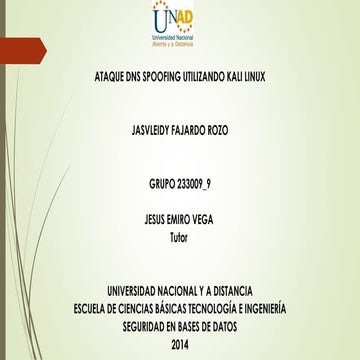 Dns spoofing kali linux