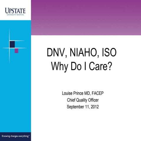 DNV ISO Process