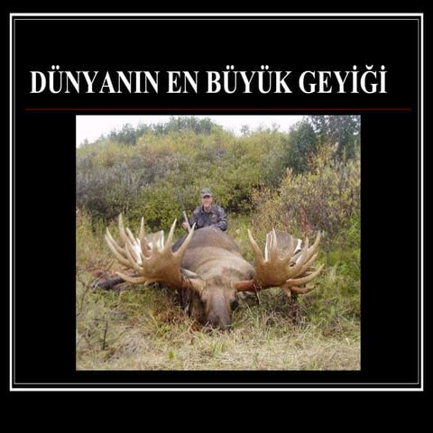 DüNyanıN En BüYüKleri