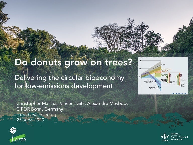 thumbnail of  Do donuts grow on trees?: Delivering the circular bioeconomy for low-emissions development