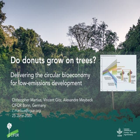 Do donuts grow on trees?: Delivering the circular bioeconomy for low-emission...