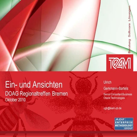 Input and Views about Oracle ADF