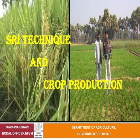 Do a government of bihar