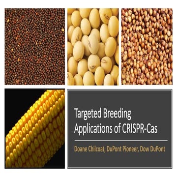 Targeted Breeding Applications of CRISPR-Cas