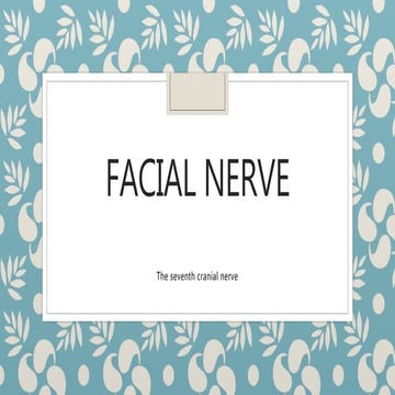 facial nerve
