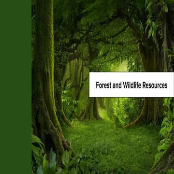 Forest and Wildlife Resources 