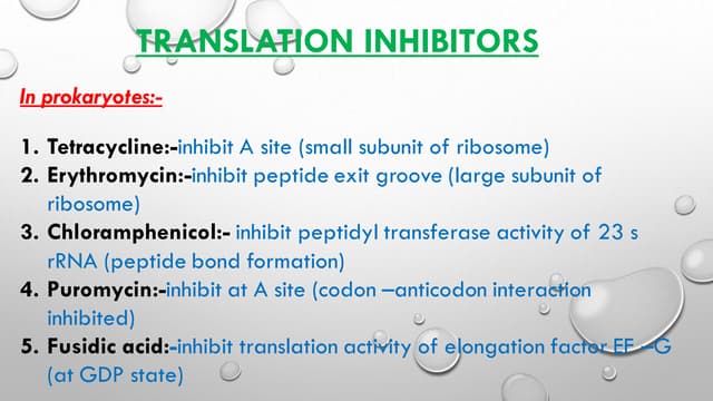 Transcription & Translation inhibitors | PPT