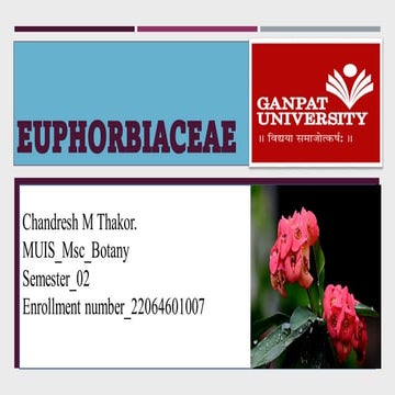 EUPHORBIACEAE FAMILY PPT