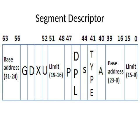 DOC-20230509-WA0002..pptx segment  pptxe