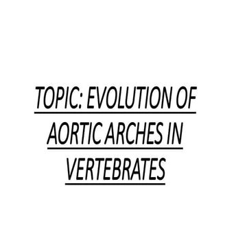 EVOLUTION OF  AORTIC ARCHES IN  VERTEBRATES
